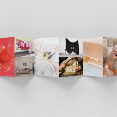 An image of the Photoworks Festival in a box