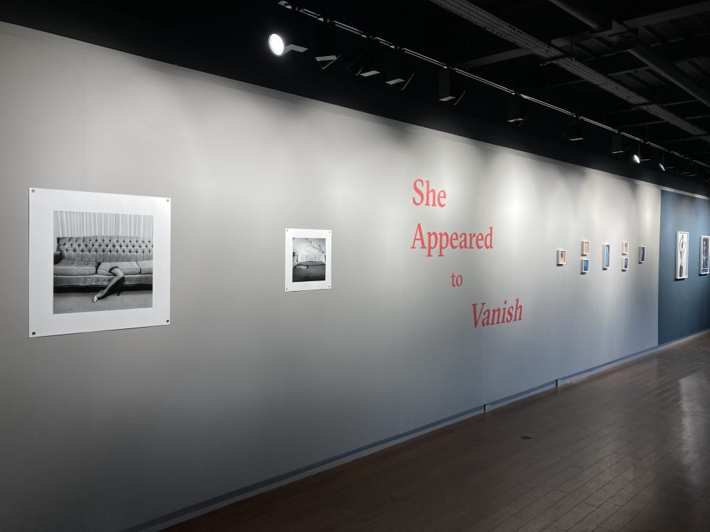 She Appeared to Vanish on display at Waterside Lauriston Gallery