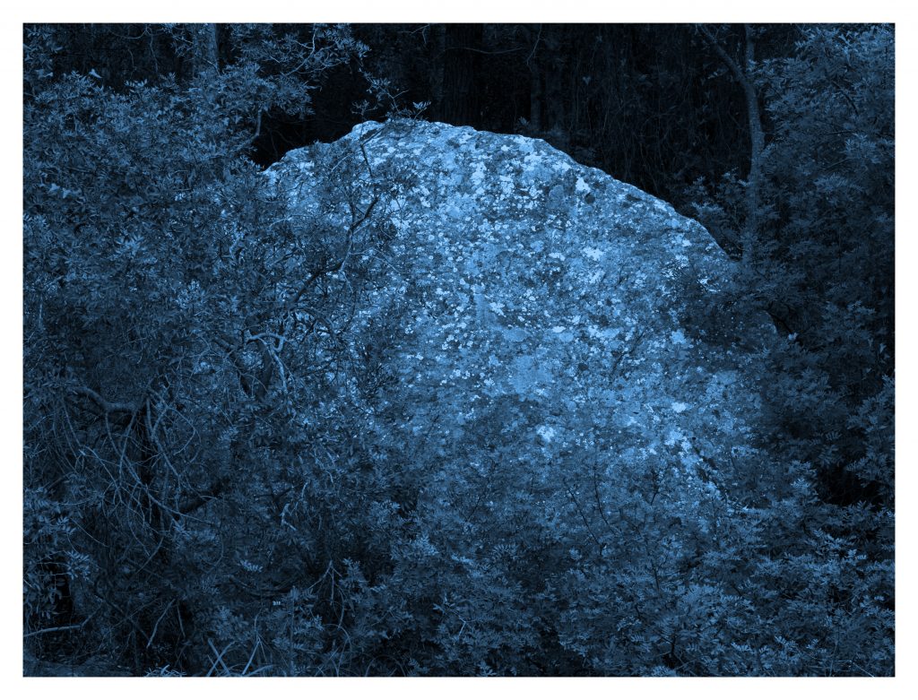 An image of woodland and rocks by Helen Sear. Part of the Bristol Photo Festival directed by Tracy Marshall-Grant.