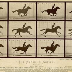 The Horse in Motion by Eadweard Muyrbidge