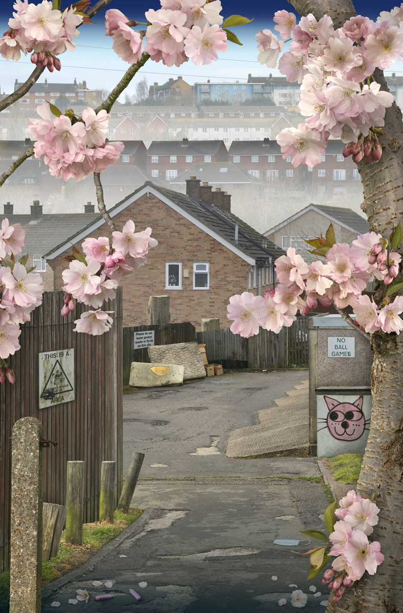 A housing estate framed by spring flowers. Picture by Emily Allchurch and currently on show at the Lucy Bell Gallery.